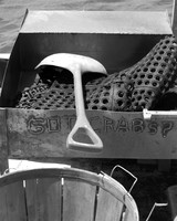 Got Crabs - Hoopers Island, MD