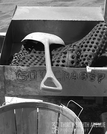 Got Crabs - Hoopers Island, MD