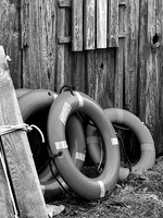 CBMM-B&W Big Life Rings By The Shed