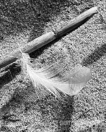 Resting on Sand