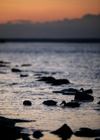 Mattapeake at Sunset