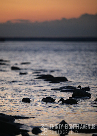 Mattapeake at Sunset