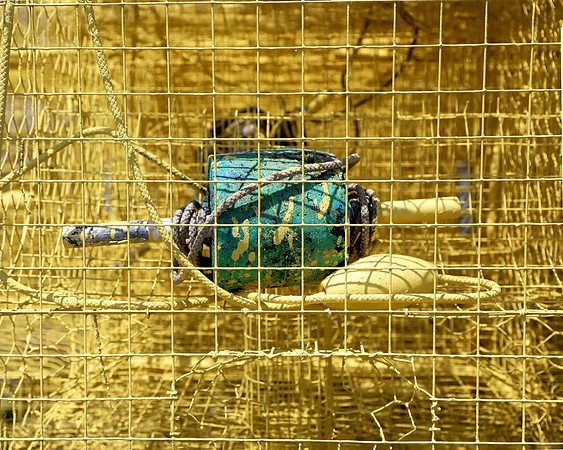 Turquoise In Yellow