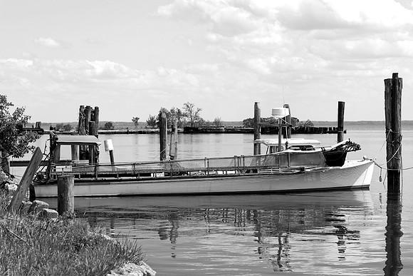 Waiting at Dock-B&W, Kent Island, MD