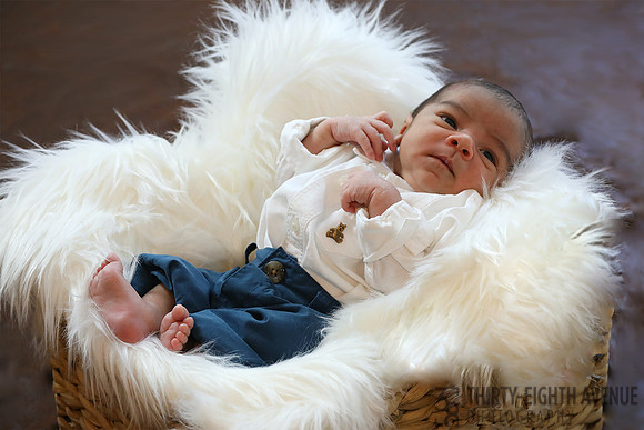Baby in White Fur Basket