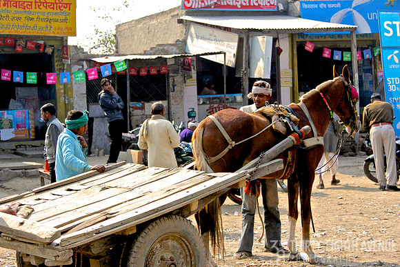 Horse Cart On Dirt Road