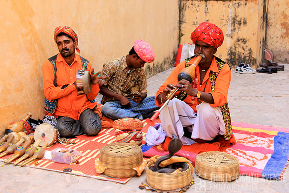Snake Charmers & Snake