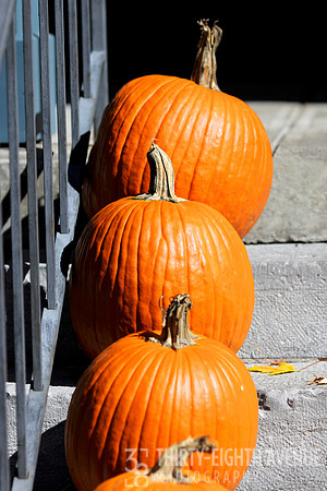 Orange Pumpkins On Steps