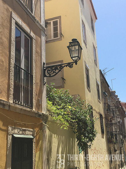 Beautiful Old Side Street With Lantern & Rooftop Plants