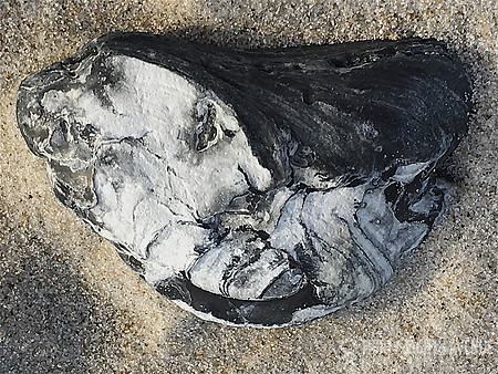 Shell Marble