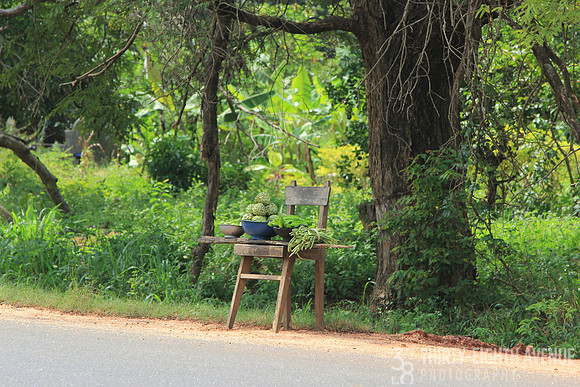 Sri Lanka Chair By Road With Fruit & Veggies