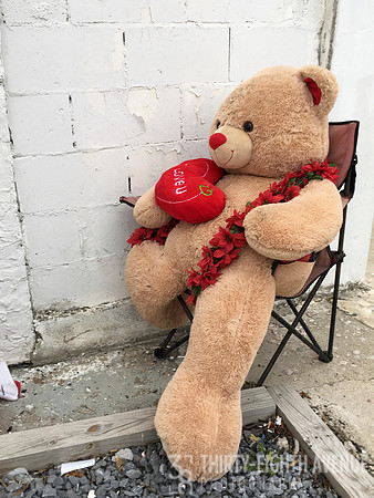 Valentines Teddy