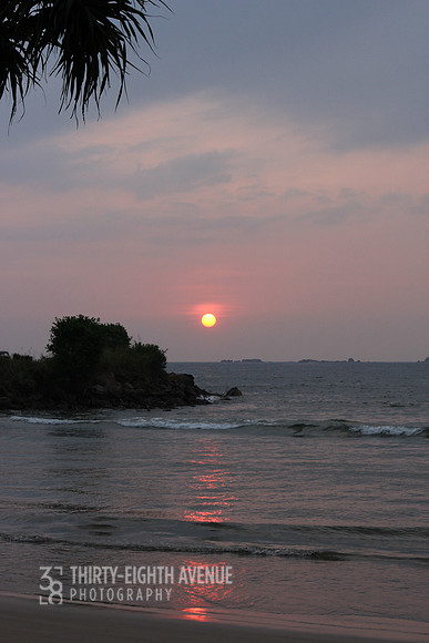 Paradise Sunset