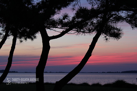 St. Michaels Pine Tree Sunset
