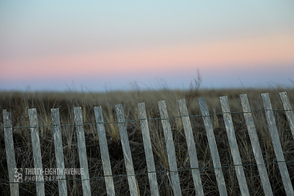 Winter Beach Fence
