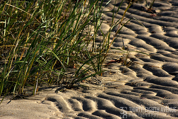 Sand Ridges