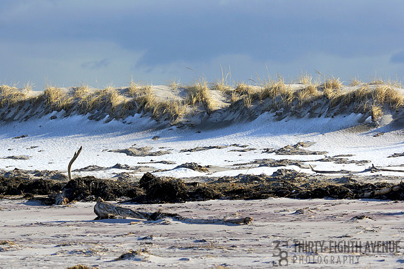 Winter Sand Dunes