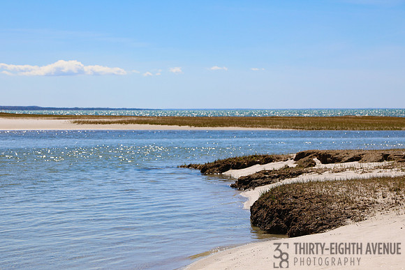 Low Tide Rock Harbor Beach