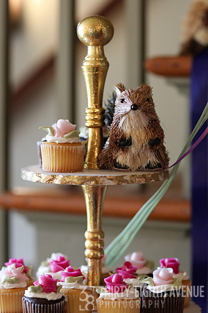 Squirrel & Cupcakes