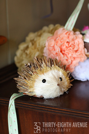 Hedgehog