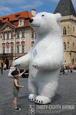 Giant Polar Bear Fun, Old Town, Prague