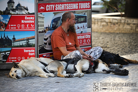 Beggar Man & Four Dogs, Prague