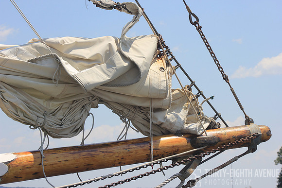 Sail & Boom