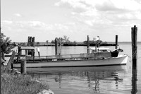 Quietly Waiting - B&W
