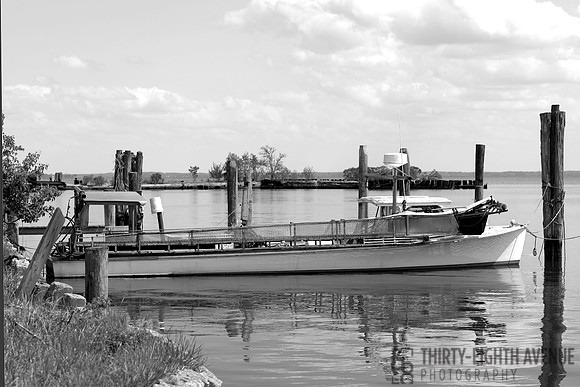Quietly Waiting - B&W