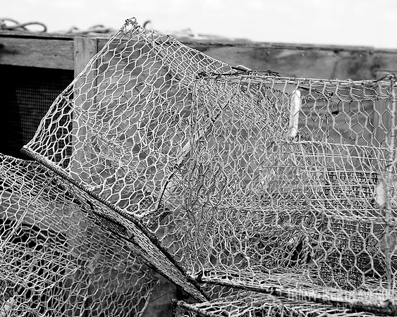 Tossed Crab Pots -Kent Island, MD B&W