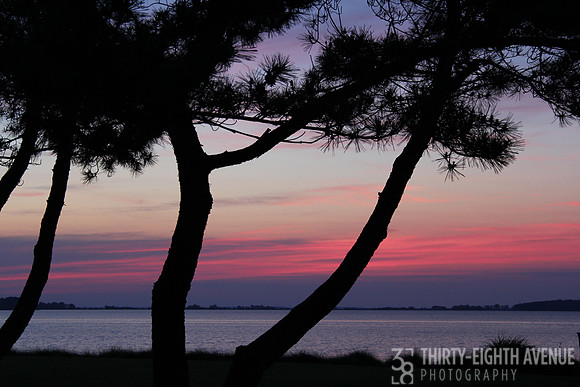 St. Michaels Pine Tree Sunset