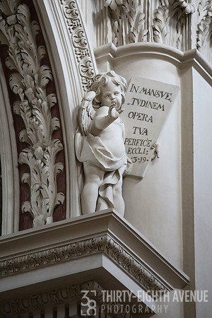 Cherub Angel