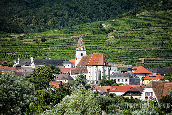 Vineyard Town