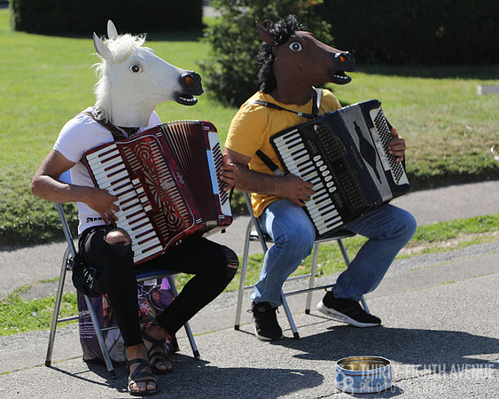 Musical Horseheads