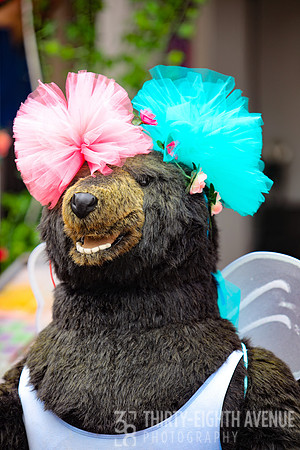 Frufru Bear