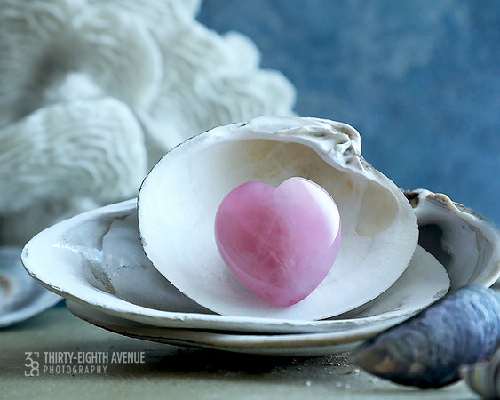 Love In A Shell