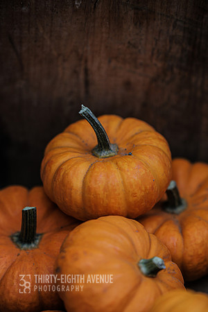 Pumpkin Gourd Still