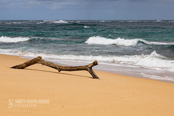 Kaua'i Driftwood