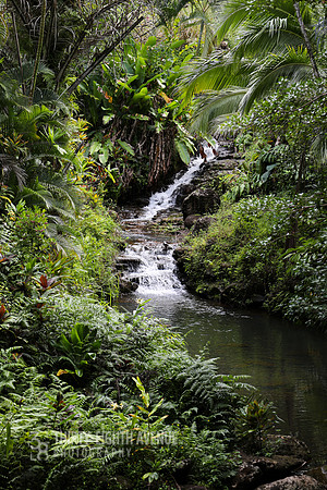 Garden Waterfall - PBG