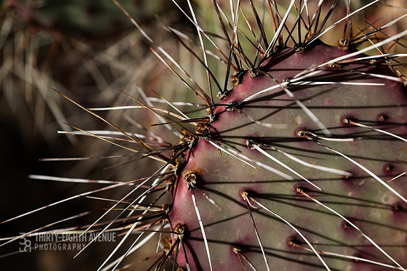 Long Spike
