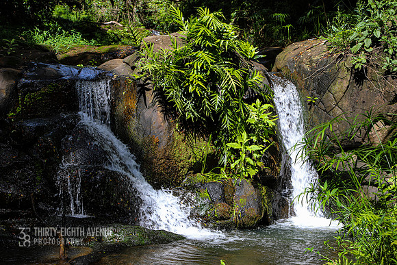 Hidden Waterfall