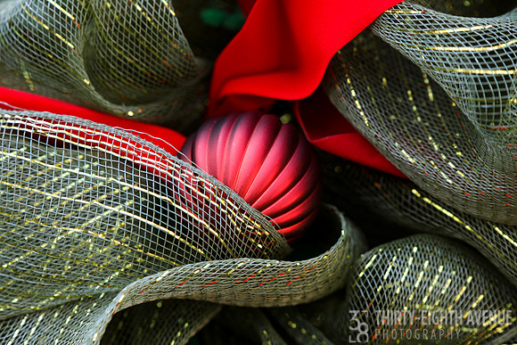 Nestled in Ribbon