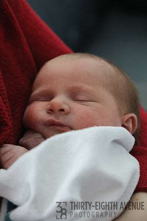 Annelise