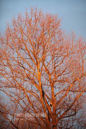 Fairfax Winter Sunset