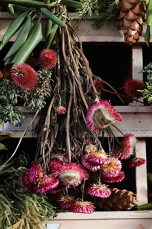 Hanging Dried Flowers