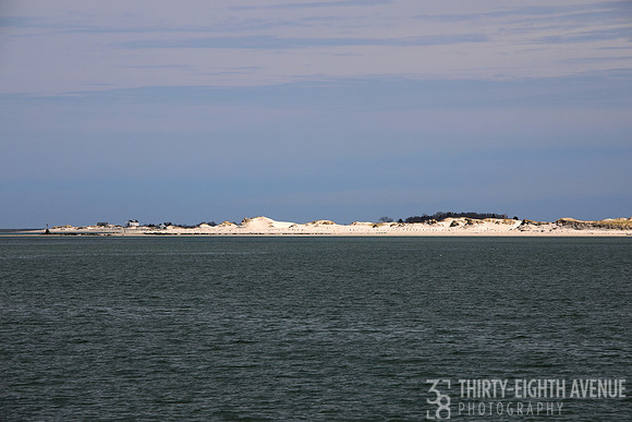 Plymouth Long Beach Dunes
