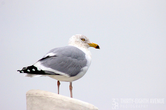 Keeping Watch