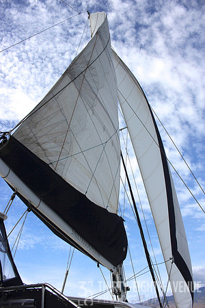 Sail & Sky
