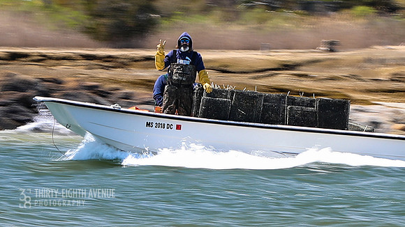 Oysterman Peace