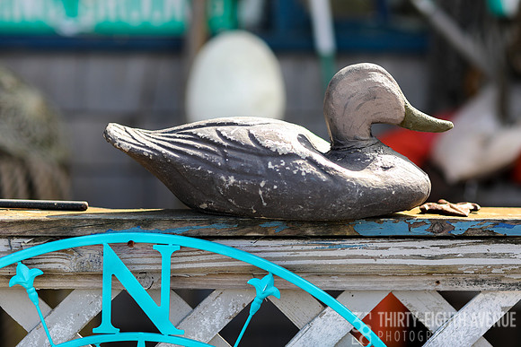Wooden Duck